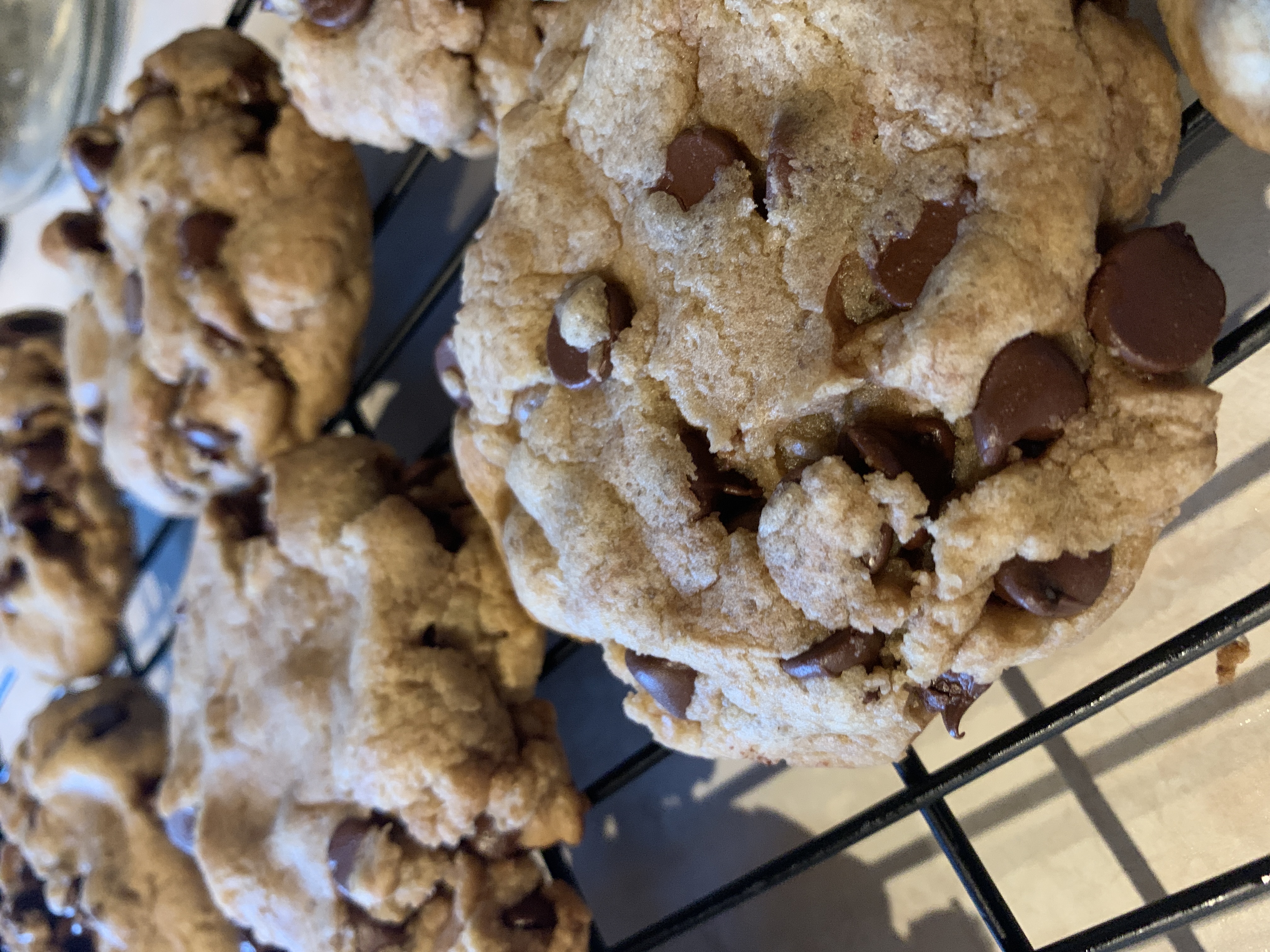 Best Big, Fat, Chewy Chocolate Chip Cookie Allrecipes Member