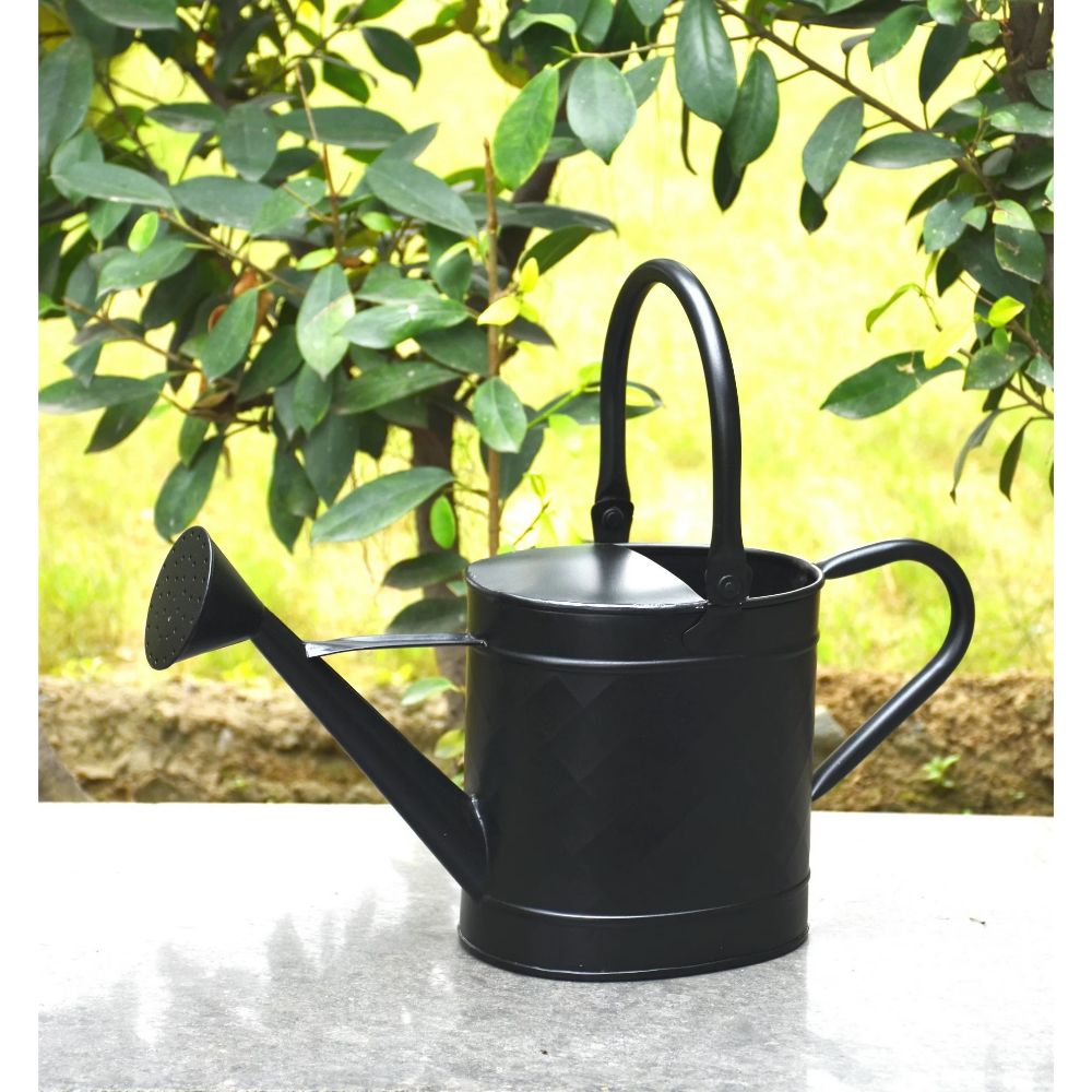 BHG Metal Watering Can from Walmart