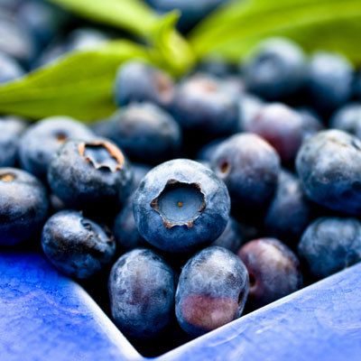 blueberry-intro-400x400.jpg
