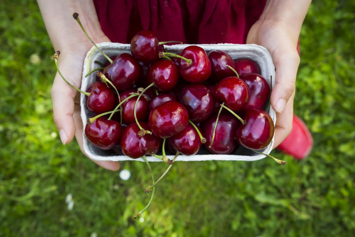 7 health benefits of cherries | health
