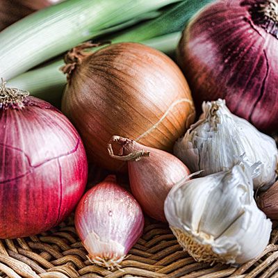 Onions, garlic, shallots, and leeks
