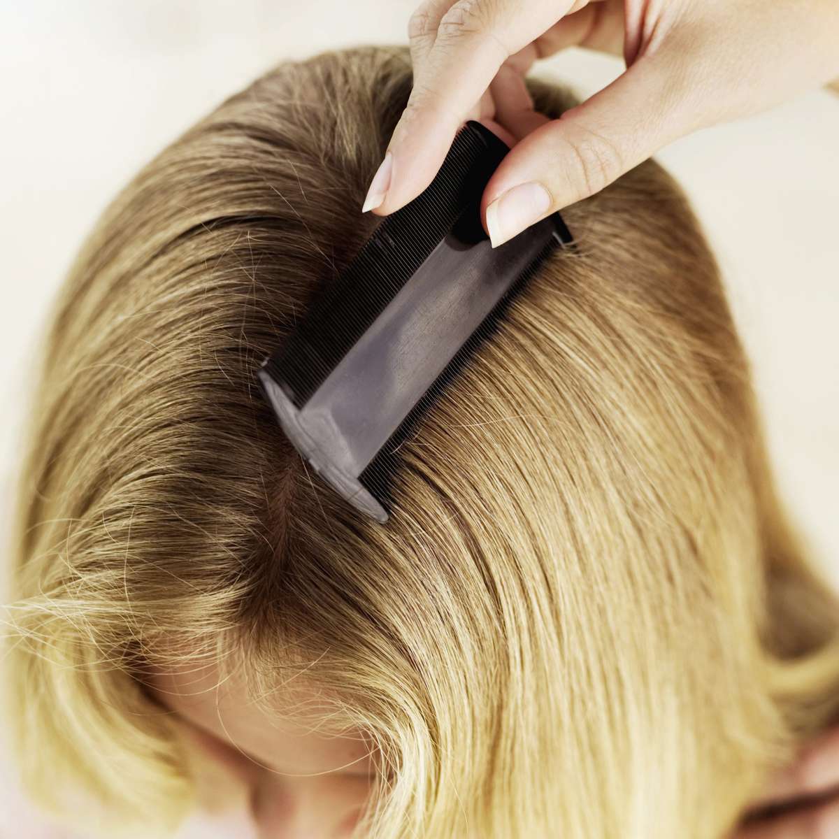 how-to-get-rid-of-lice-head-lice-comb