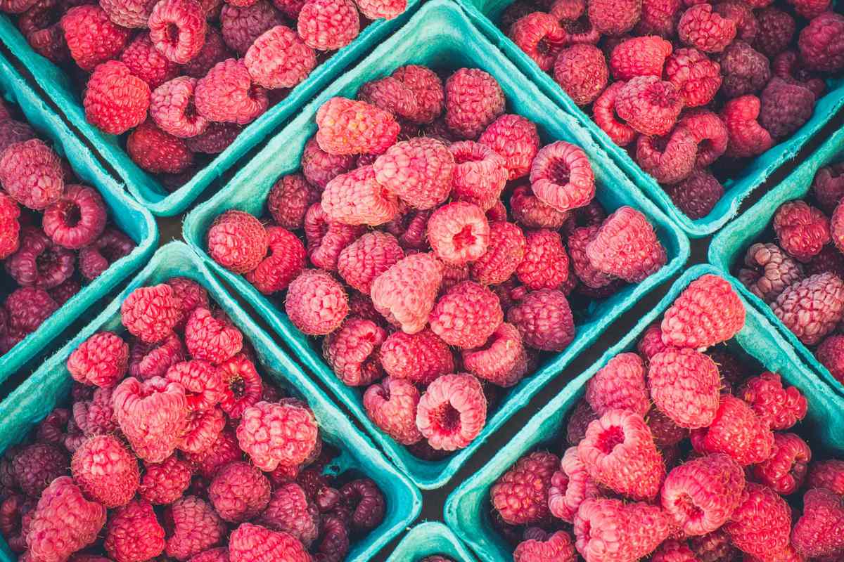breakfast-raspberries