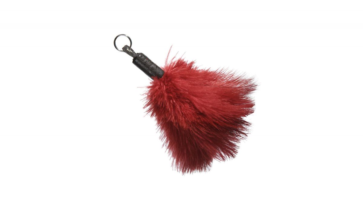 feather-duster-allergy
