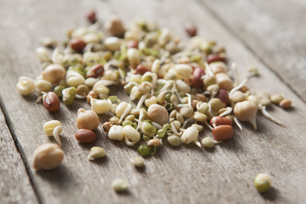 sprouted-seeds-healthy-food