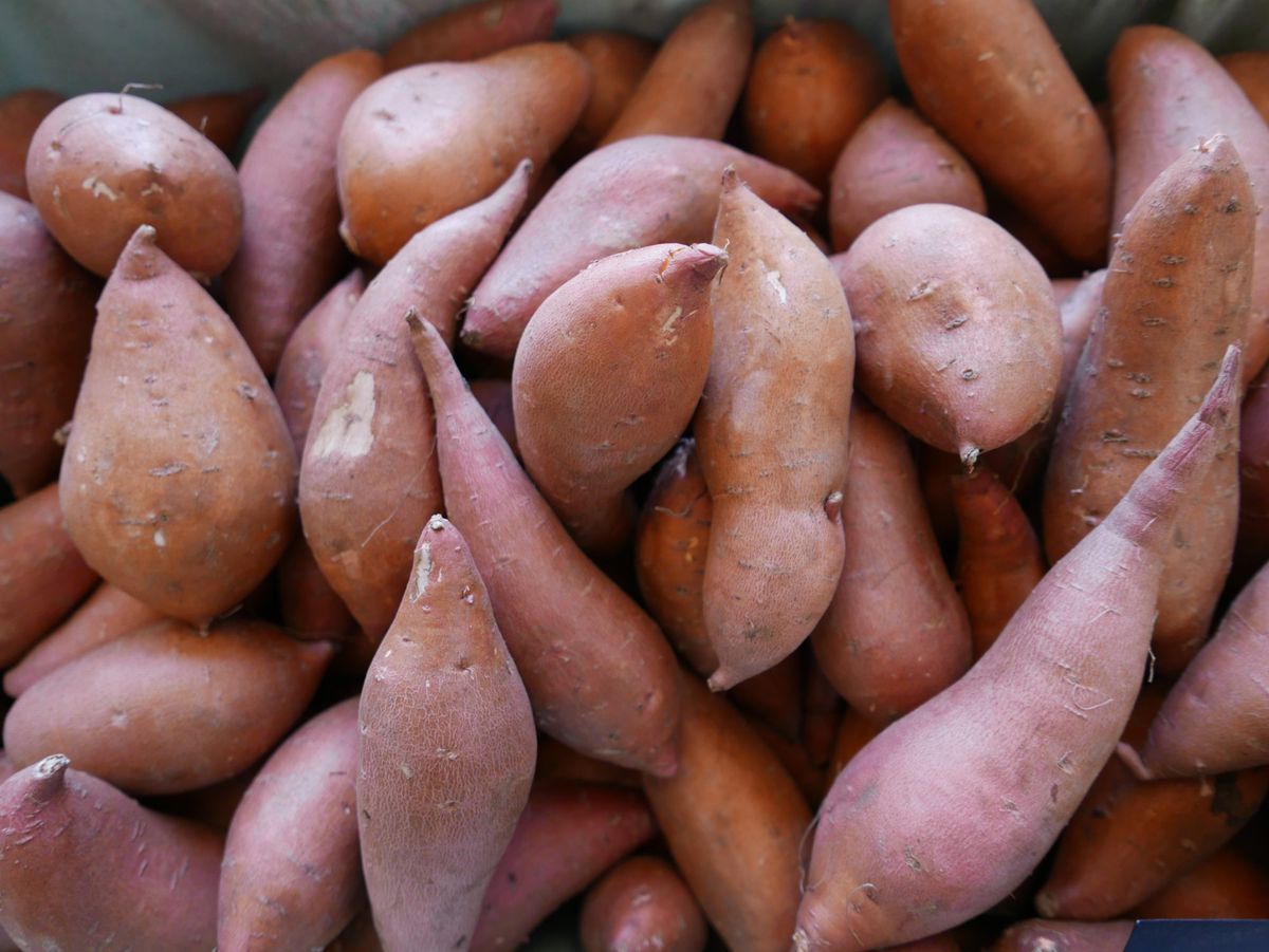 sweet-potato-everything-healthy-food
