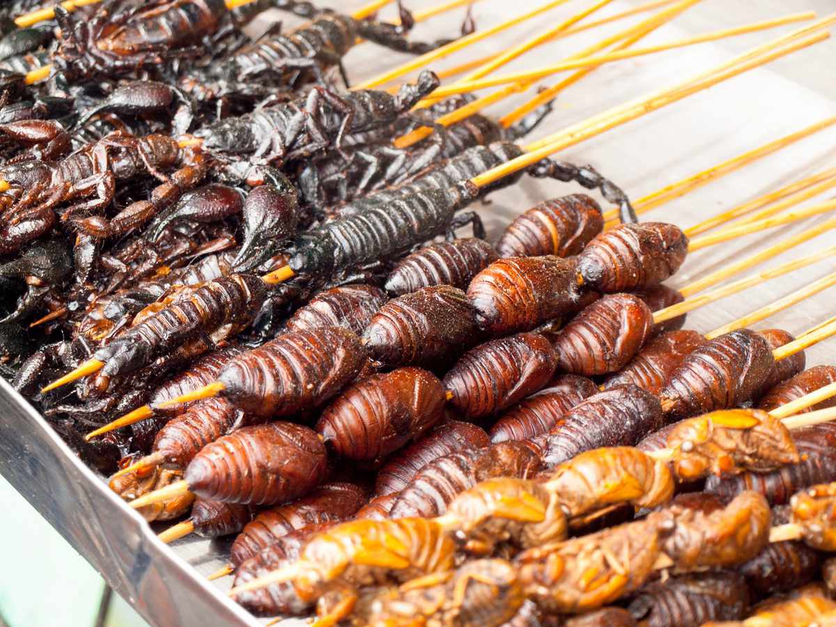 You should add insects to your diet (yes, really)