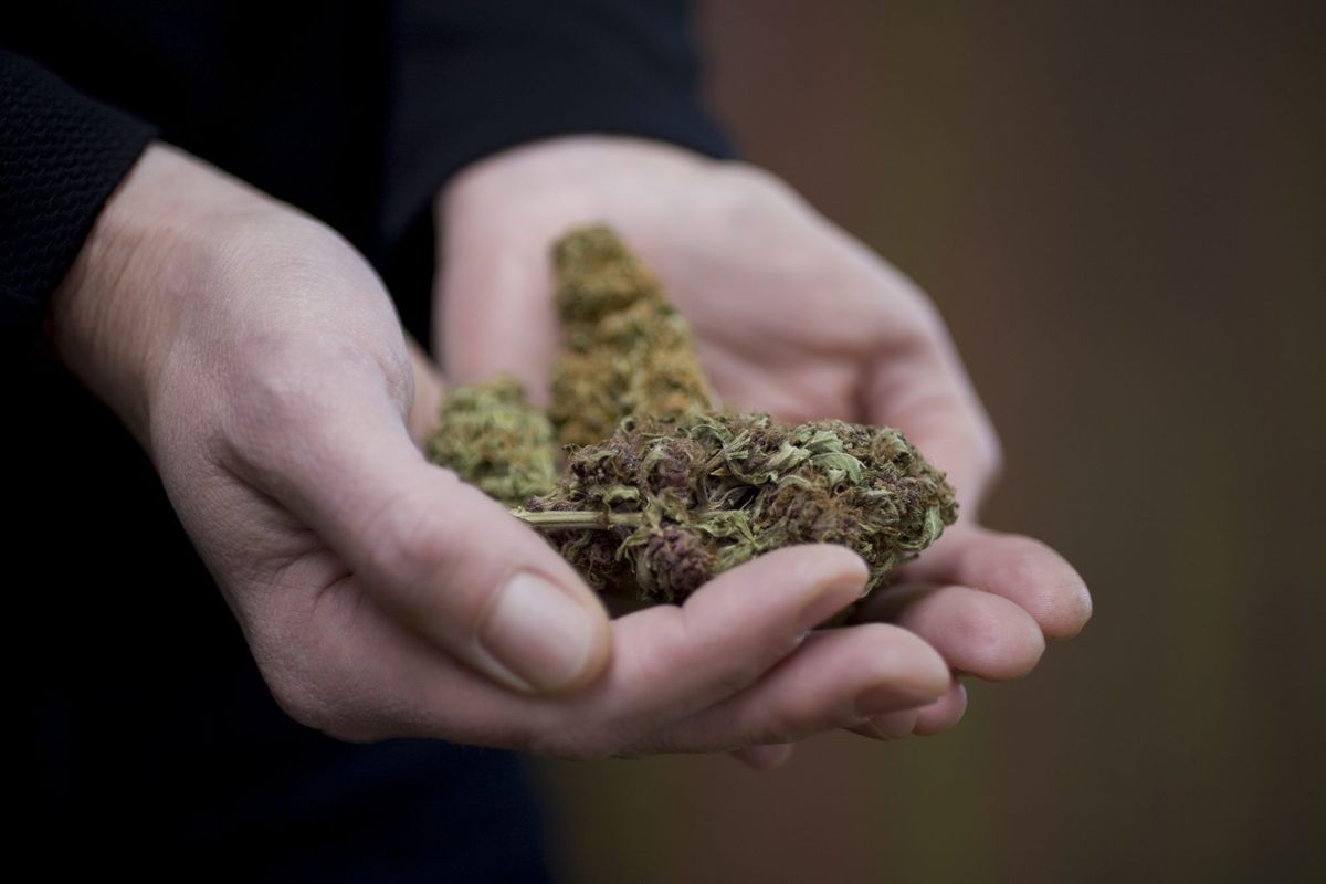 Marijuana Benefits and Risks: 11 Things to Know | Health.com