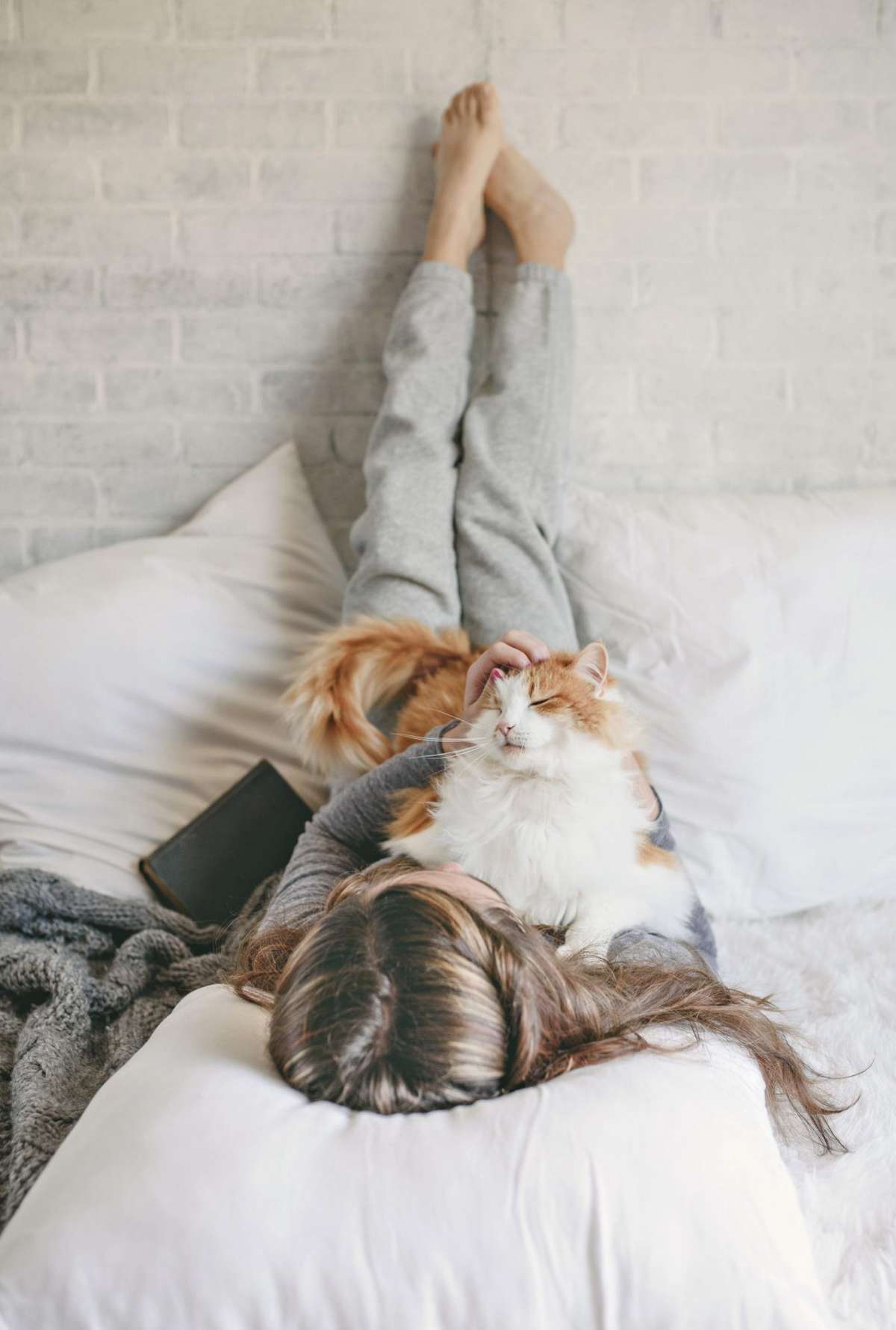 emotional-support-animals-health-mag-september-2019 emotional-support-animals health-mag-september-2019 pets woman health wellbeing