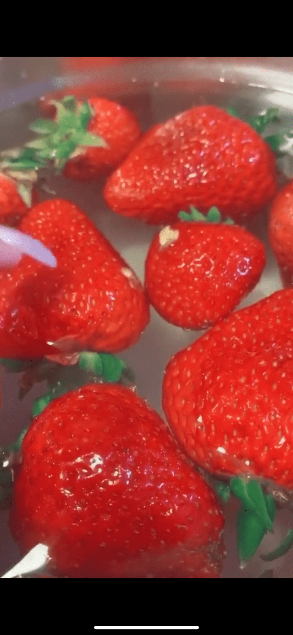 草莓的bug