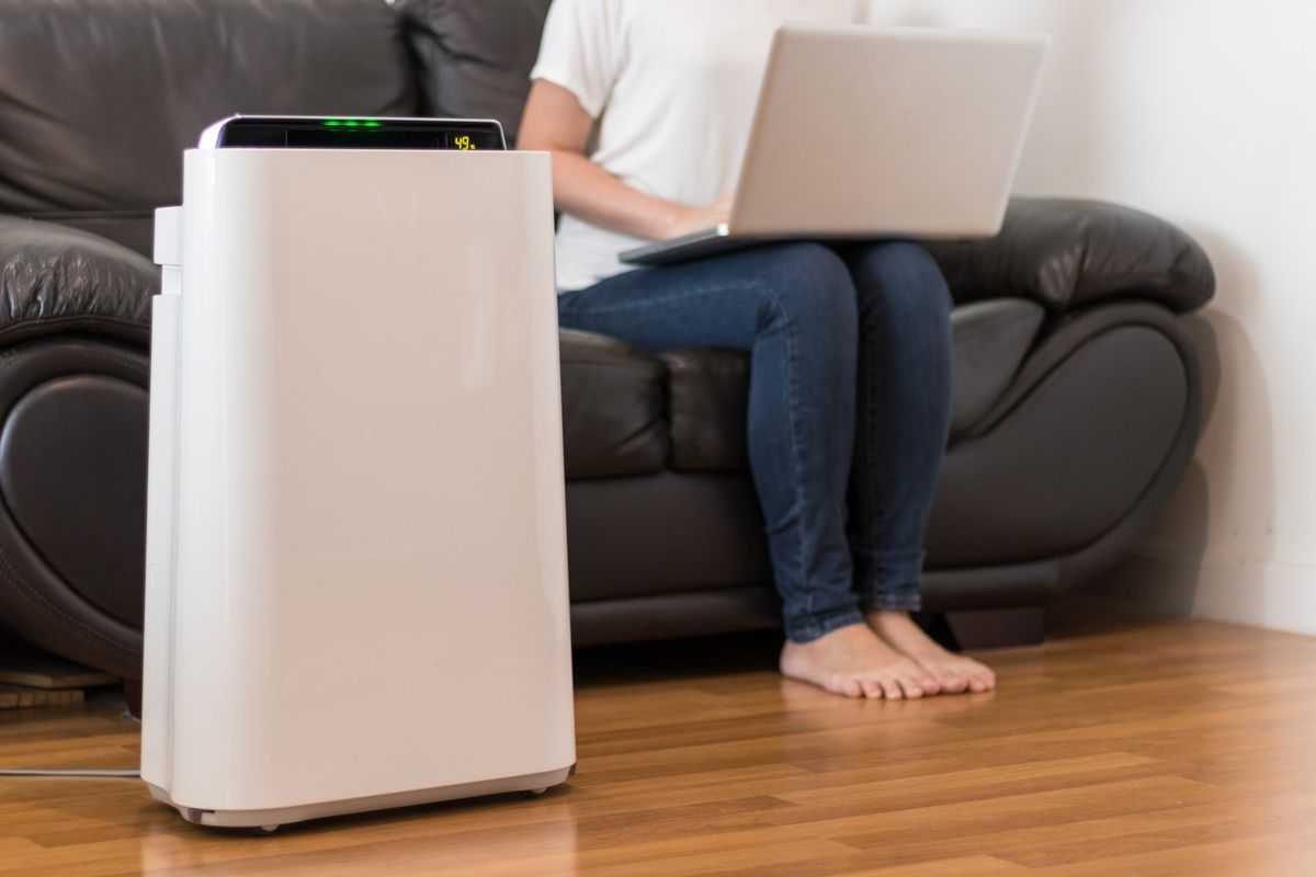 Air purifier in a living room, woman working with laptop with filter for clean room