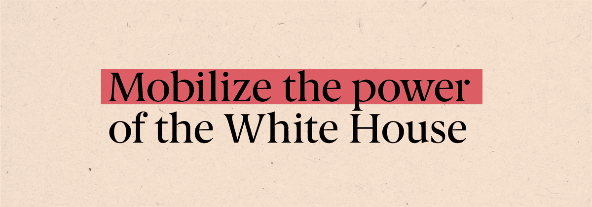 Mobilize the power of the White House