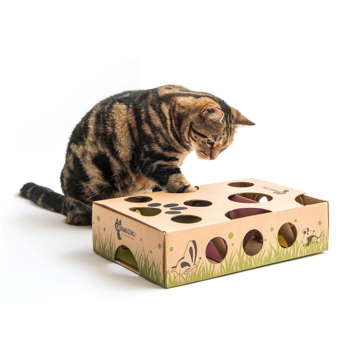 Pet-Brain-Games-Cat Amazing Interactive Treat Maze Puzzle Feeder