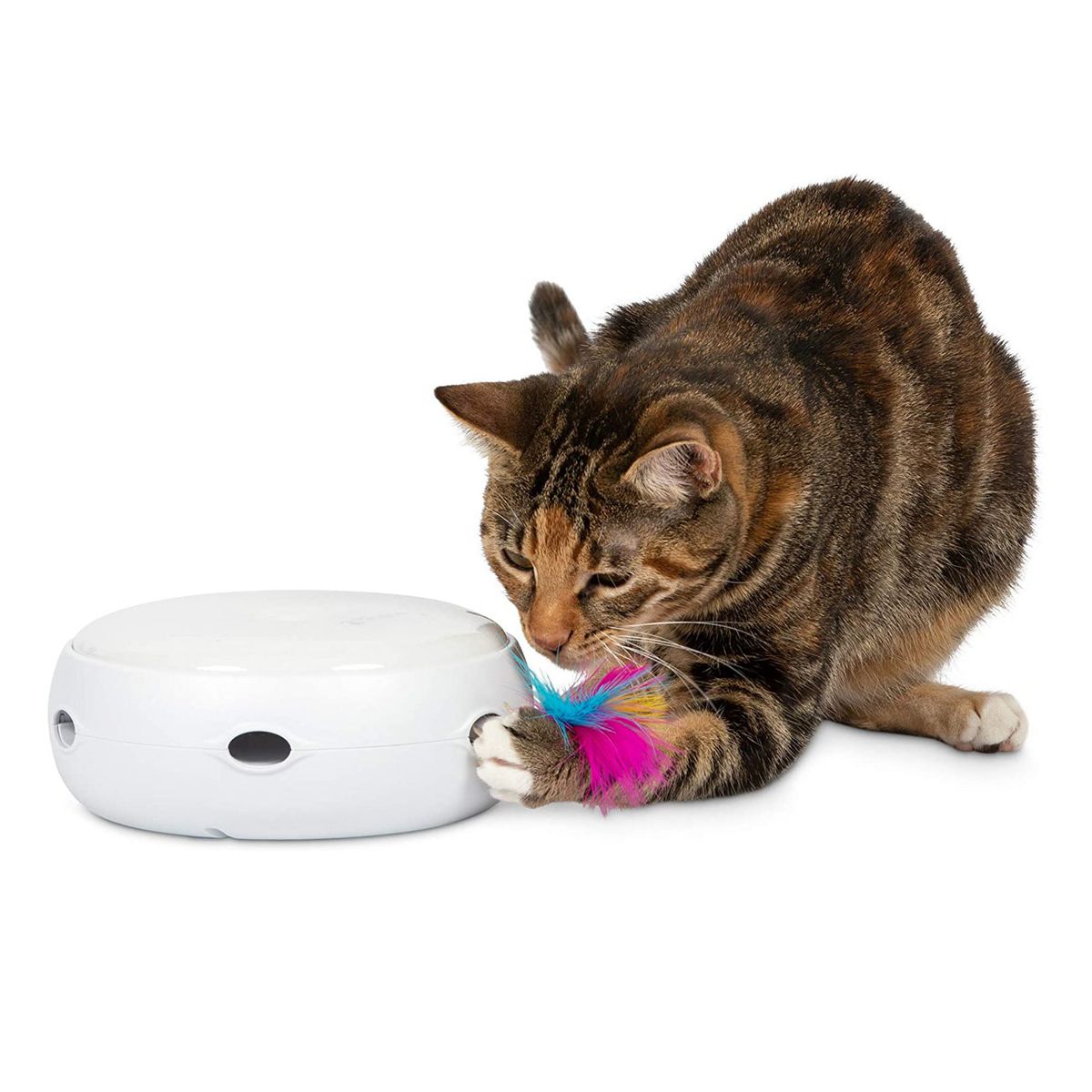 Pet-Brain-Games-PetFusion Ambush Interactive Electronic Cat Toy