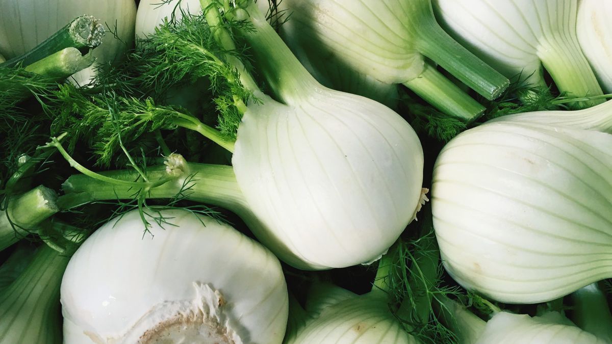 Fennel-Winter-Produce-GettyImages-1029493046