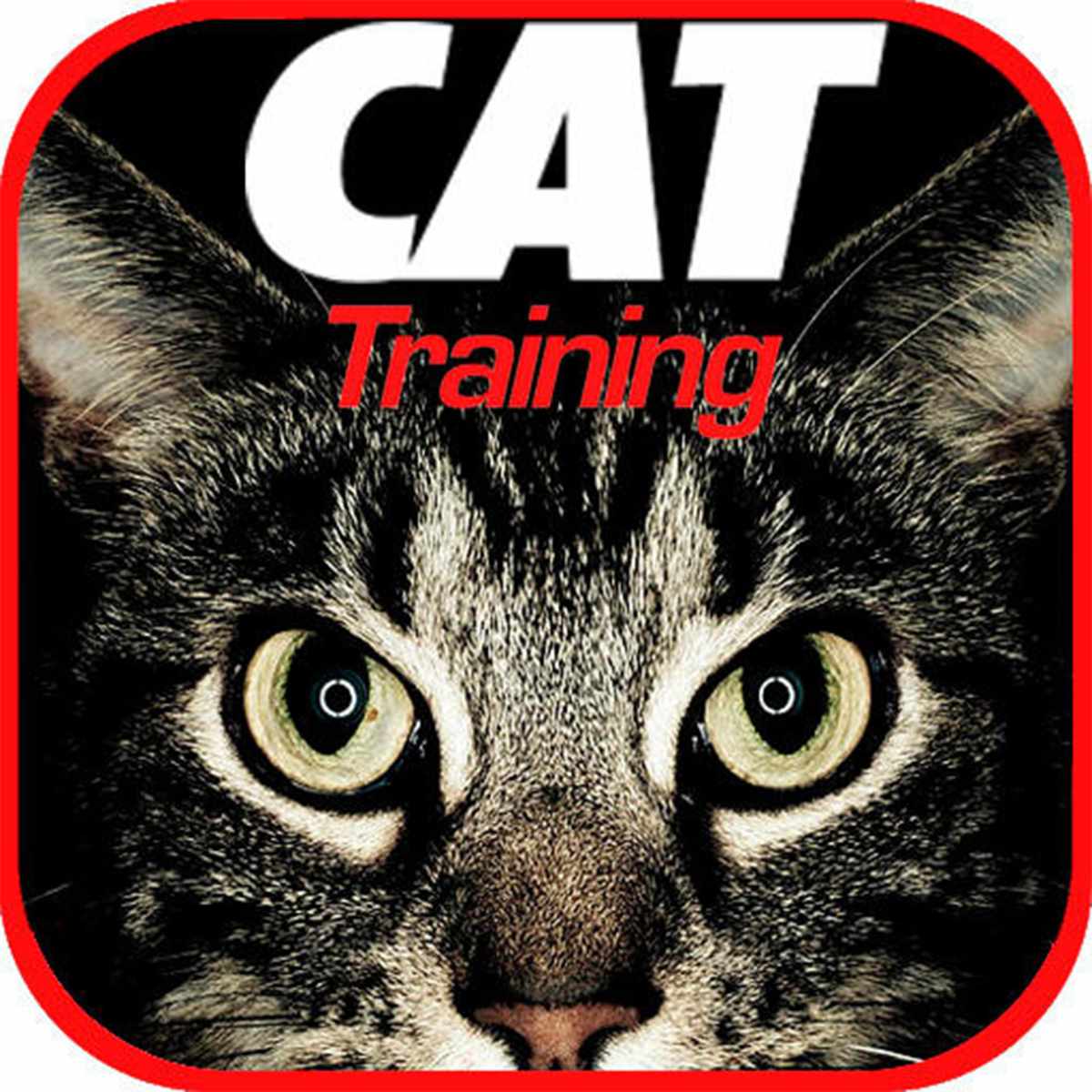 Cat Training Tips-Connected-Pets-Apps-Health-Print-Jan-2022