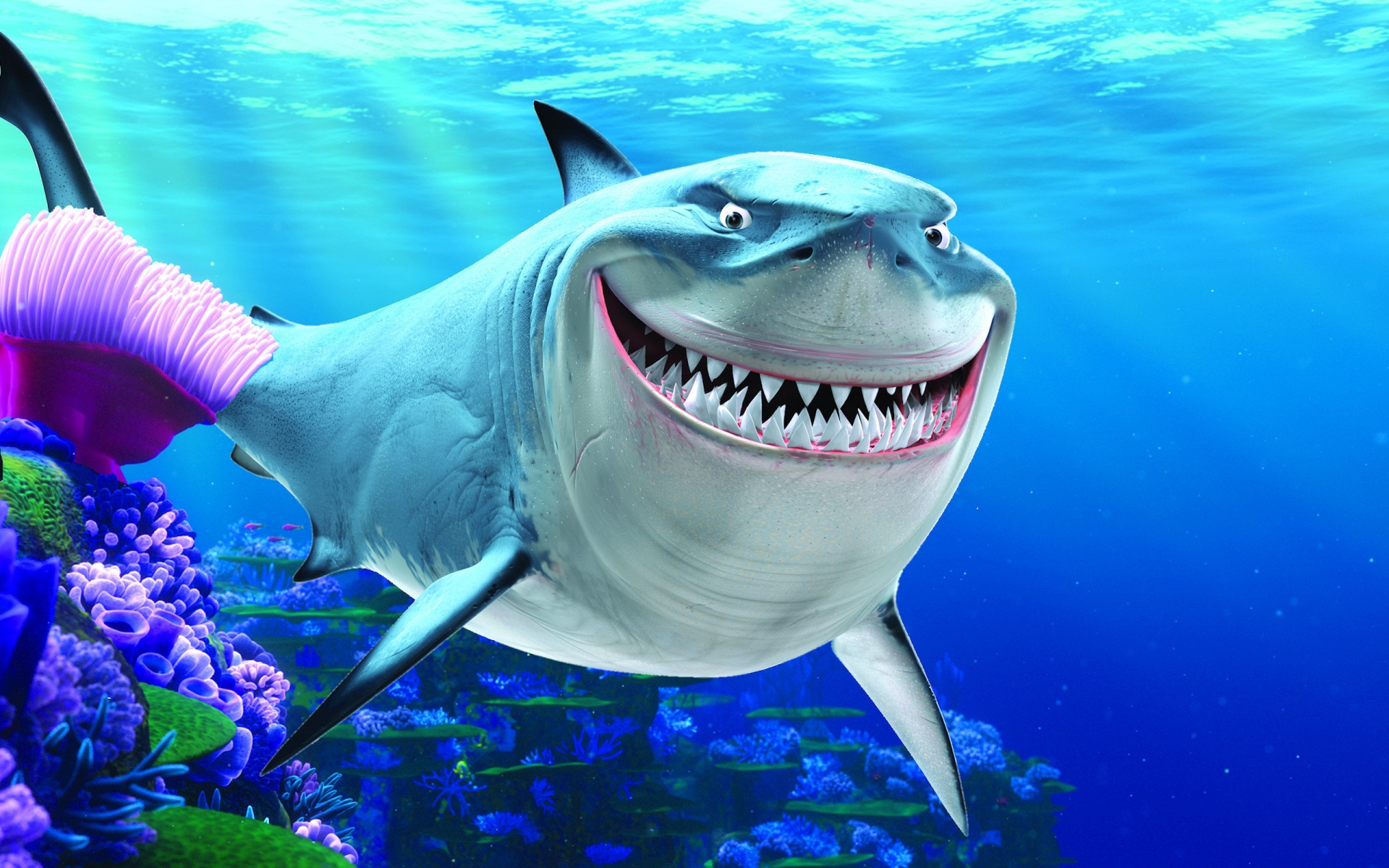 This Smiling Shark Looks Like A Real Life Finding Nemo Character