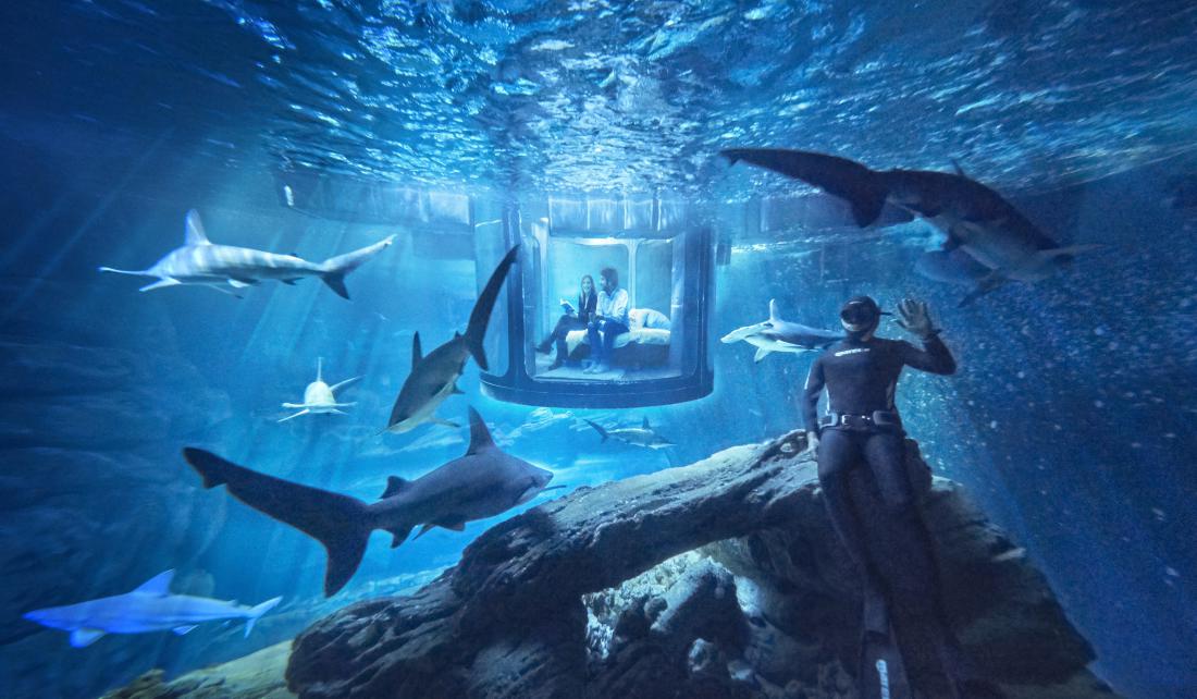 Shark tank airbnb