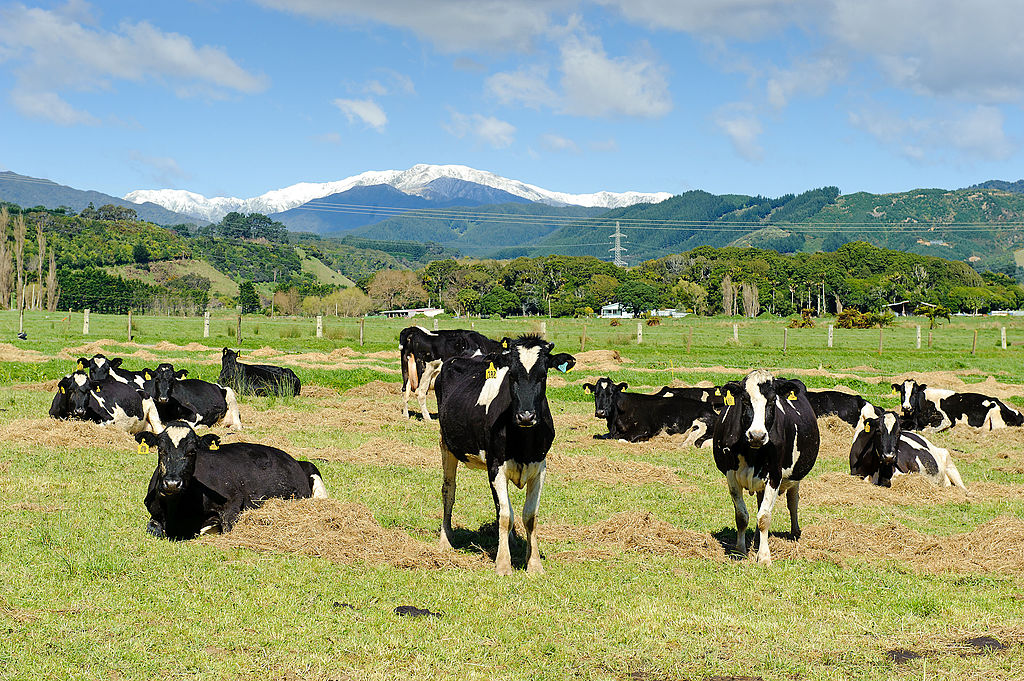 Fonterra Cooperative Group Production Facility