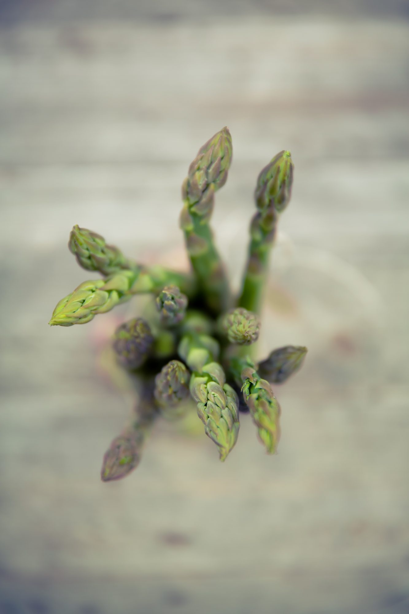 fresh bio green asparagus