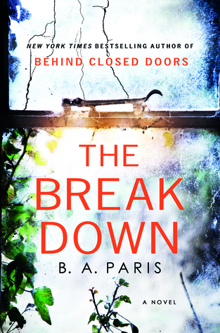picture-of-the-breakdown-book-photo.jpg