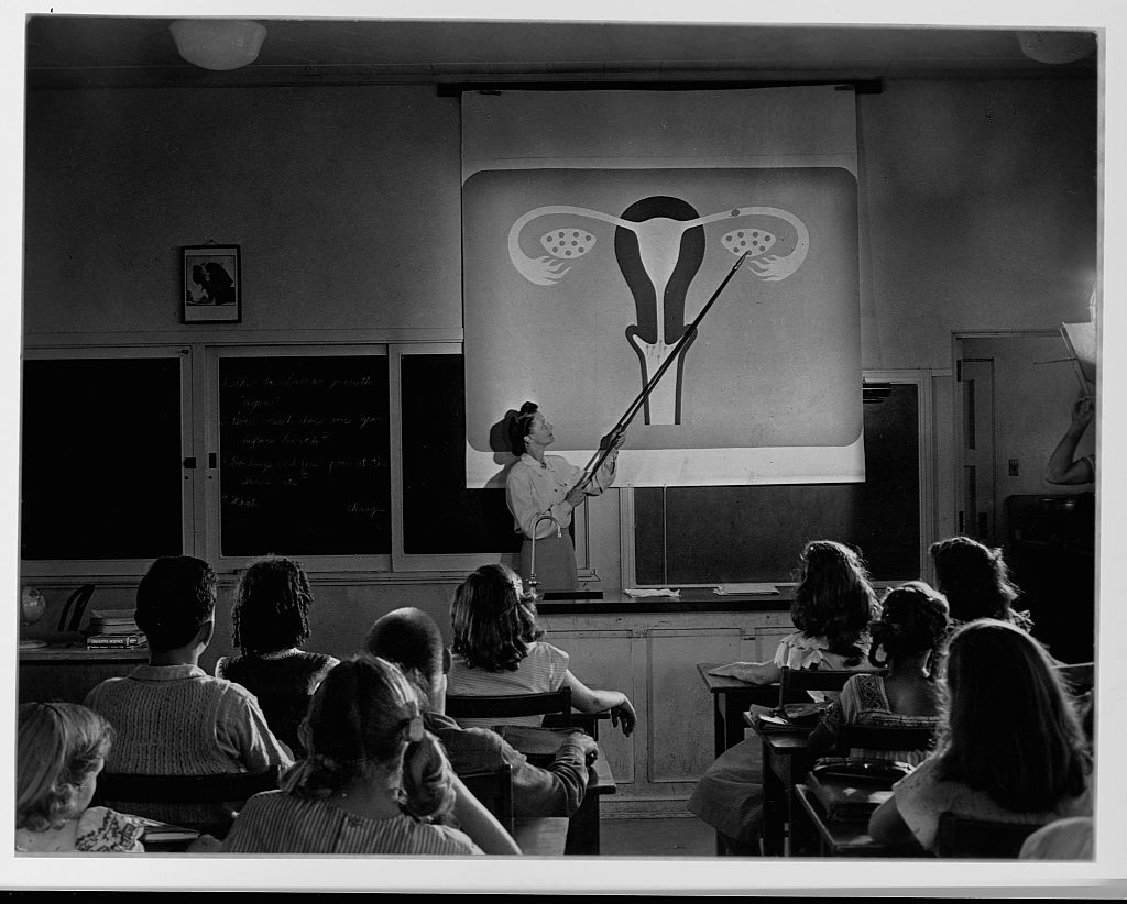 Teacher Explaining Female Reproductive System