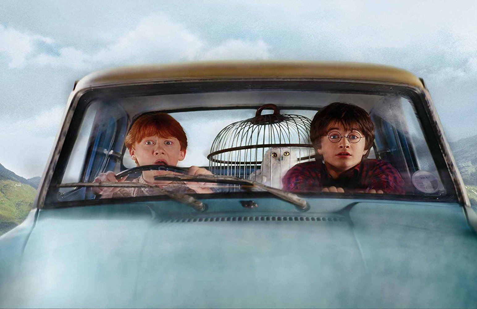 Photo of Ron Weasley and Harry Potter in "The Chamber of Secrets"