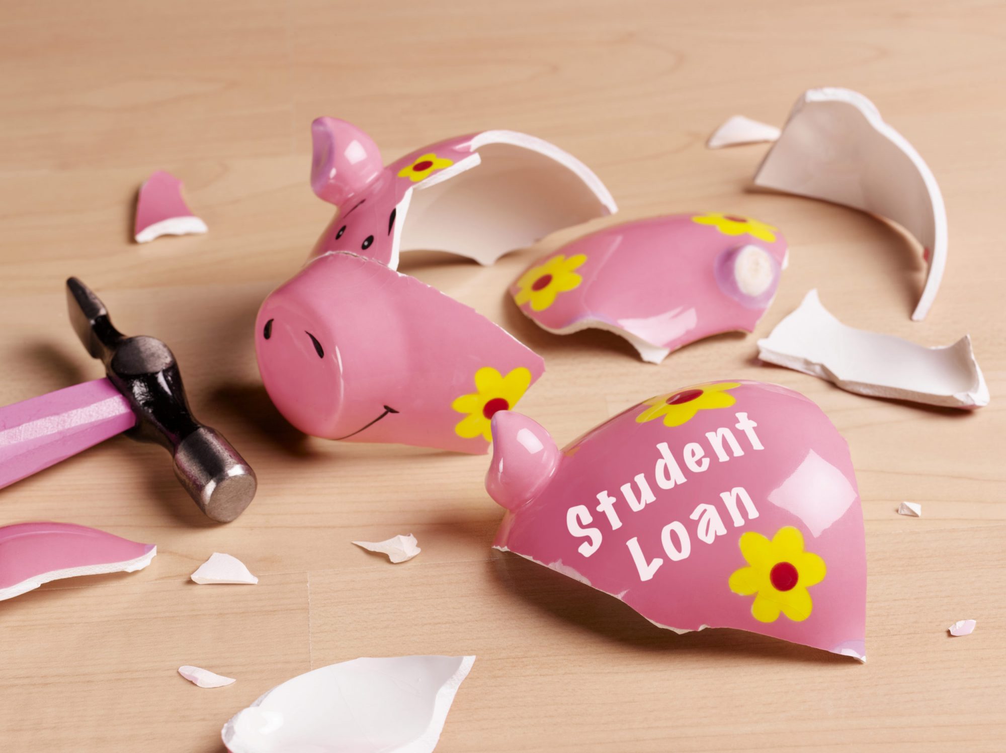 Photo of Broken Piggy Bank Representing Student Loan Debt