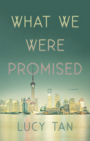 Picture of What We Were Promised Book
