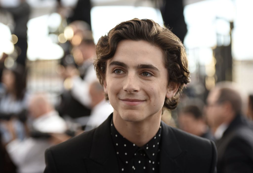 Timothée Chalamet walking the red carpet at the 25th Annual Screen Actors Guild Awards