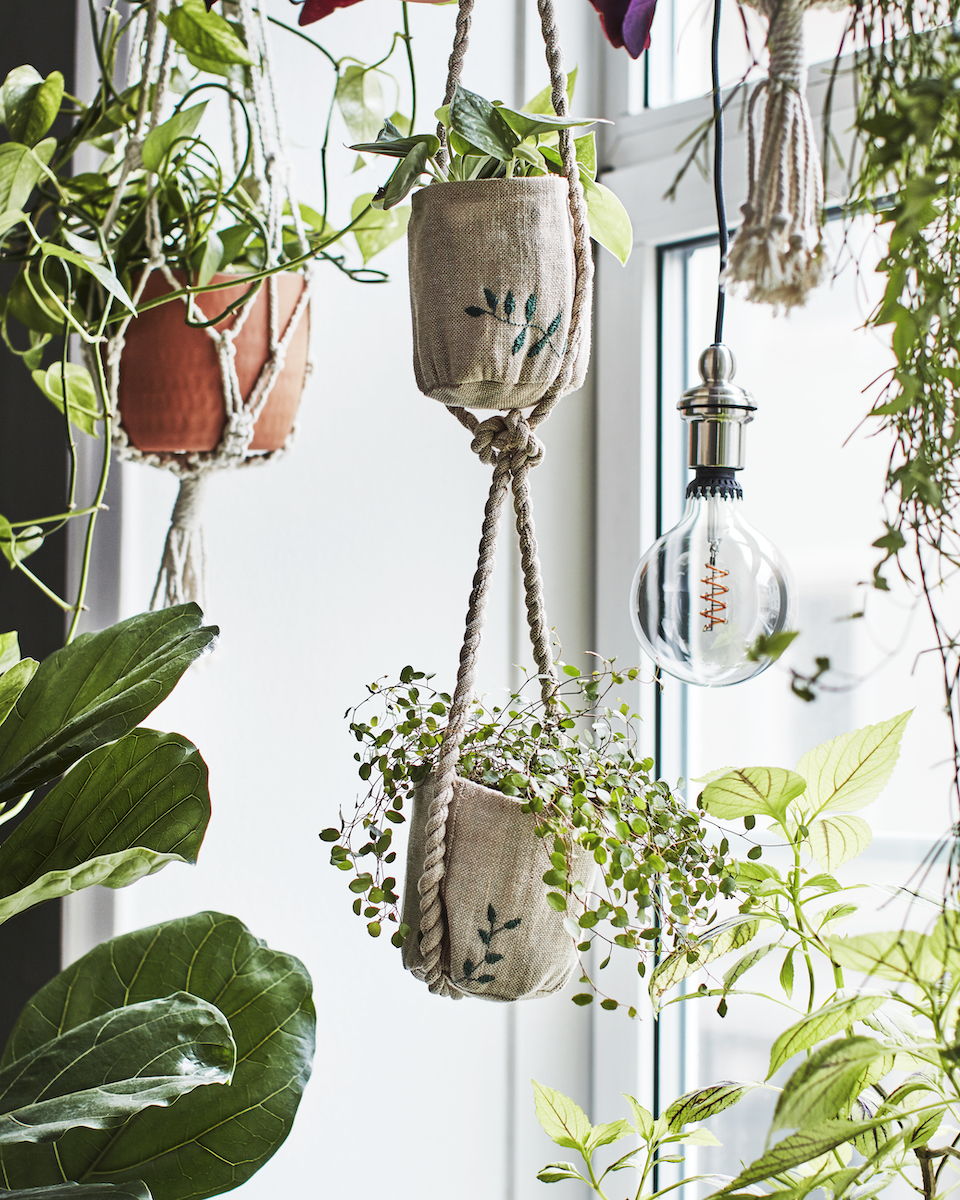 IKEA indoor gardening collection hanging planter