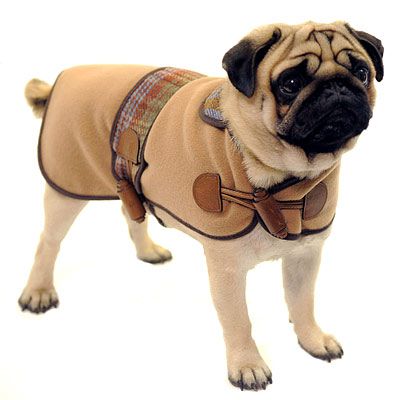 Most Stylish Gift for Dogs: Mulberry's Princess Collar Coat