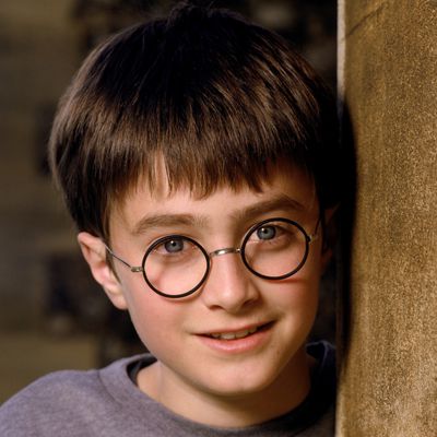 Harry Potter's Transformation
