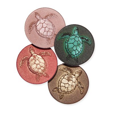 Chantecaille Sea Turtle Palette - 10 Spring Beauty Products Worth Your Money - Eye Shadow