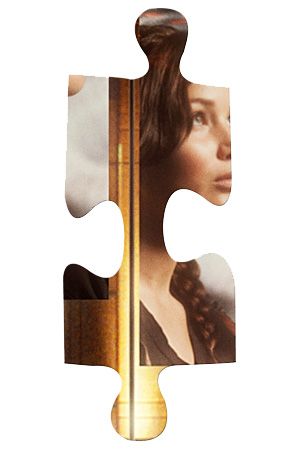 Hunger Games Puzzle Piece