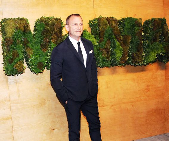 Daniel Craig attends Museum Of Modern Art's 2014 Party In The Garden at Museum of Modern Art
