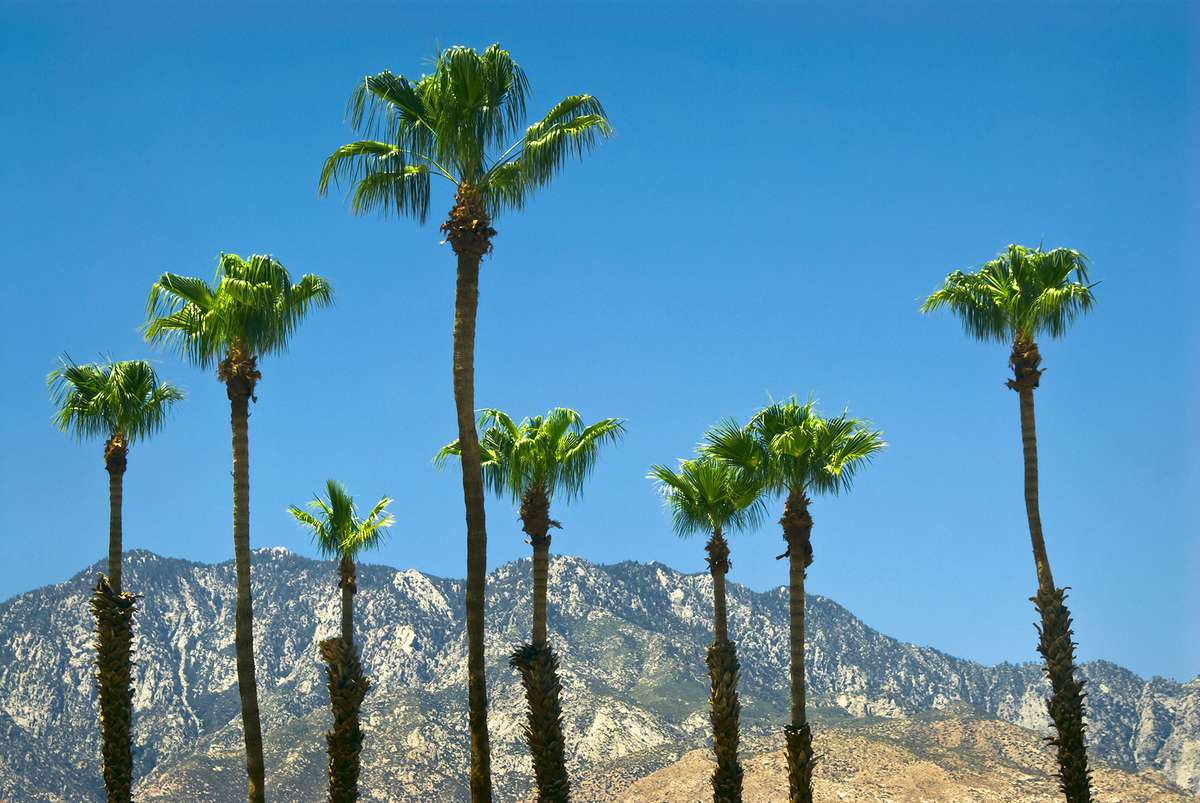 LIFE+HOME: Palm Springs City Guide: Desert Hills Outlets