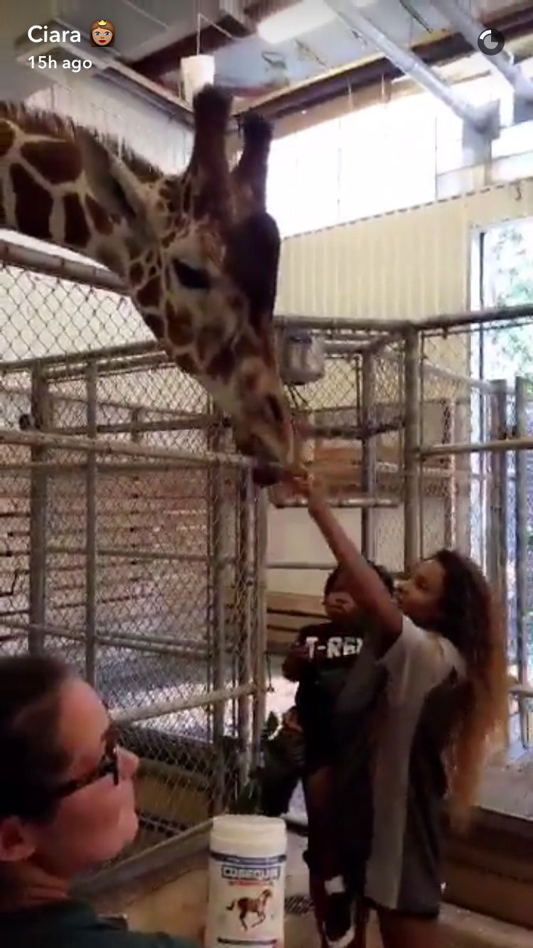 Ciara Zoo Day - Embed 1