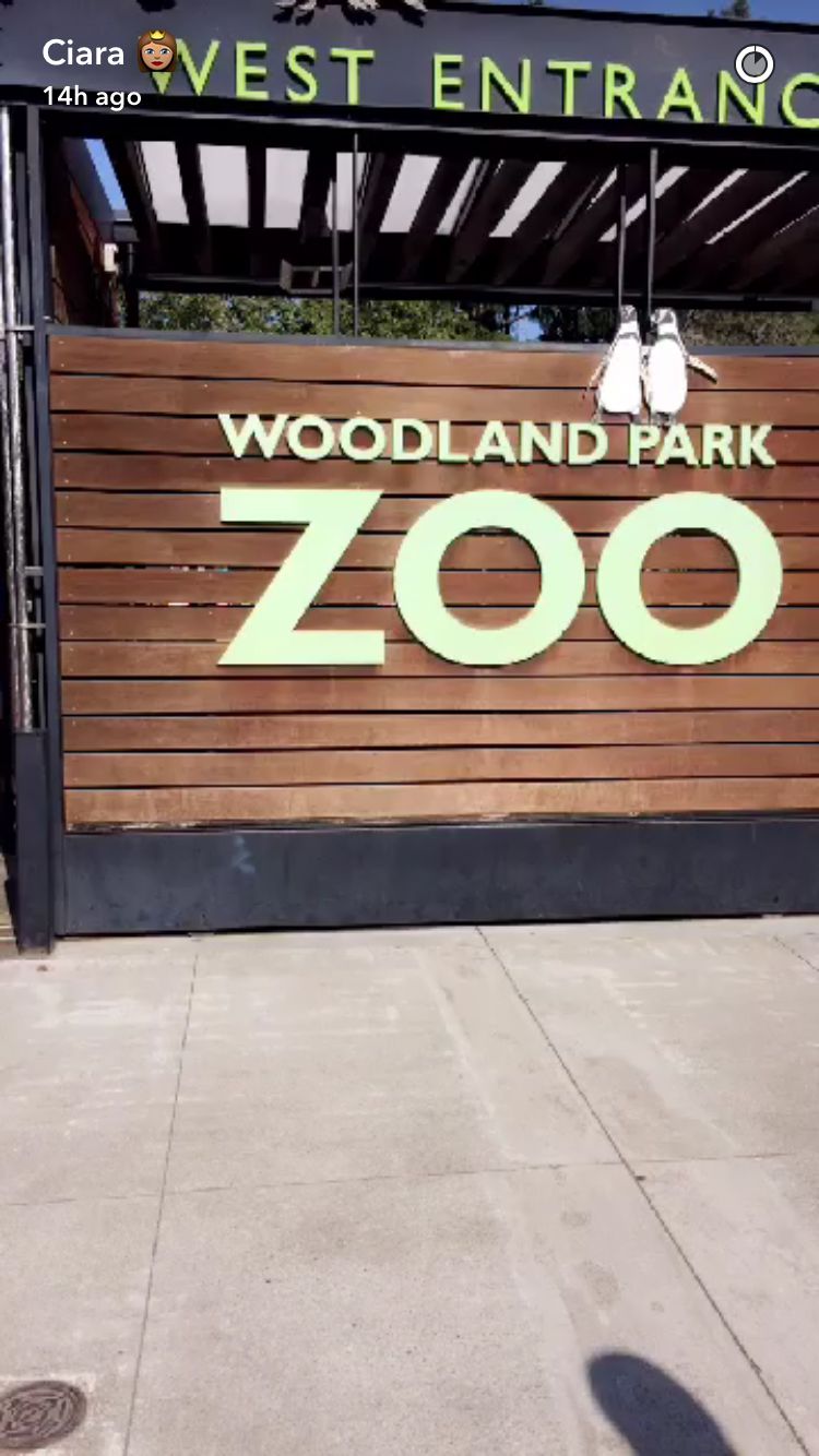 Ciara Zoo Day - Embed 3