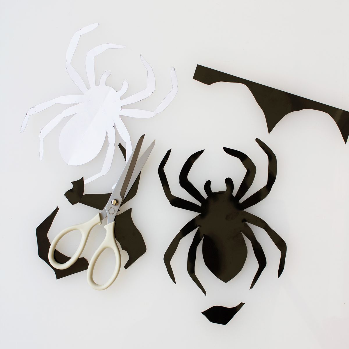 TRACE AND CUT OUT EACH SPIDER