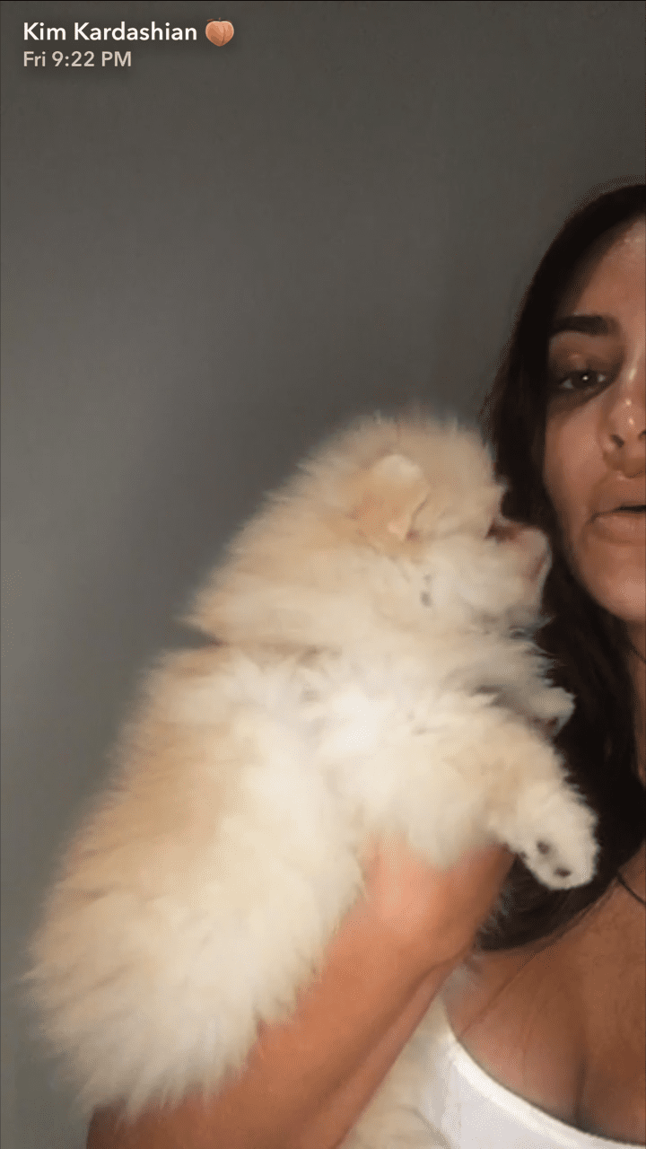 Kim Kardashian Shows Off North's New Puppy EMBED 2