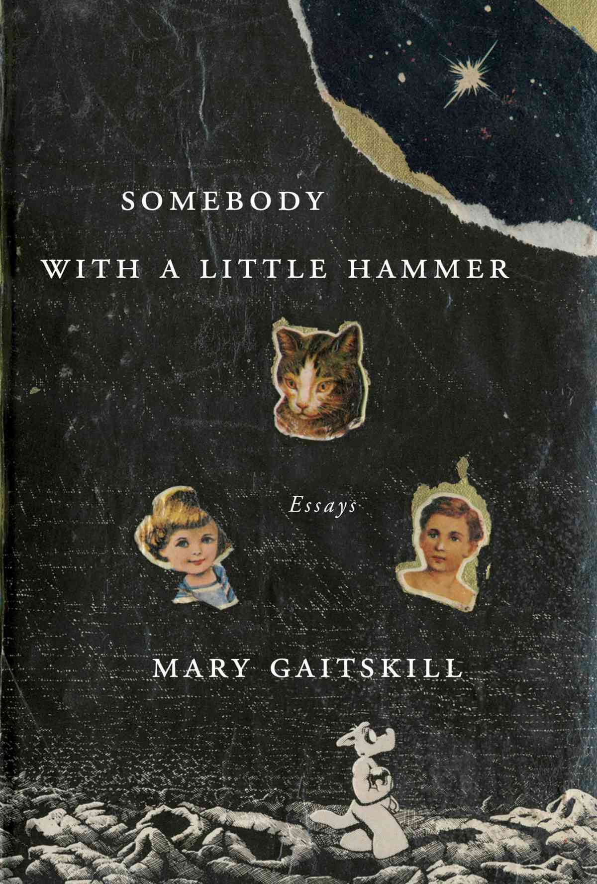Mary Gaitskill’s Somebody with a Little Hammer