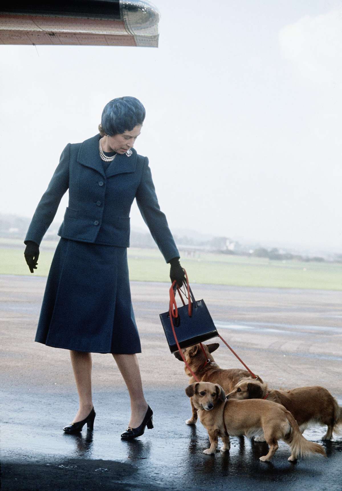 Queen Elizabeth ll arrives at Aberdeen Airport with her corgis