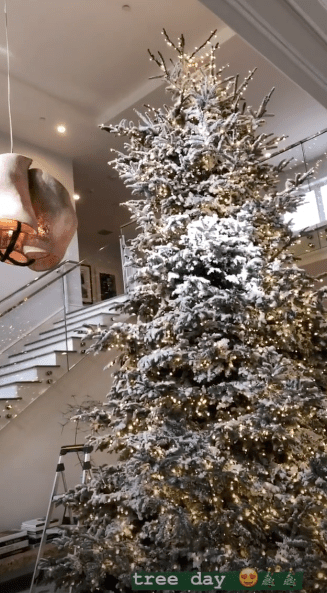 Kylie Jenner Christmas Tree 1