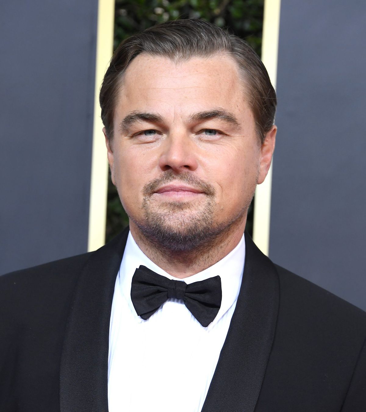 Leonardo DiCaprio 77th Annual Golden Globe Awards