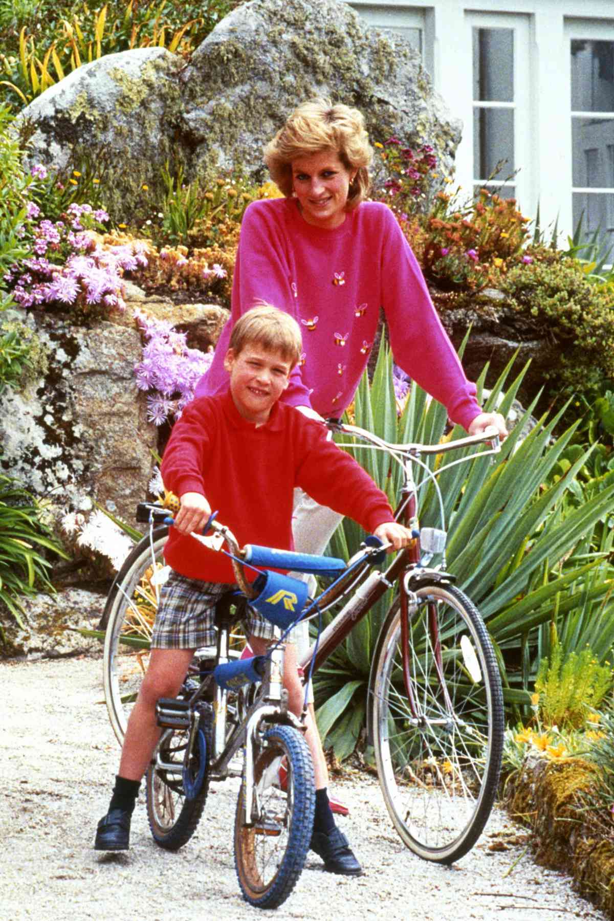 Princess Diana Prince William - Embed