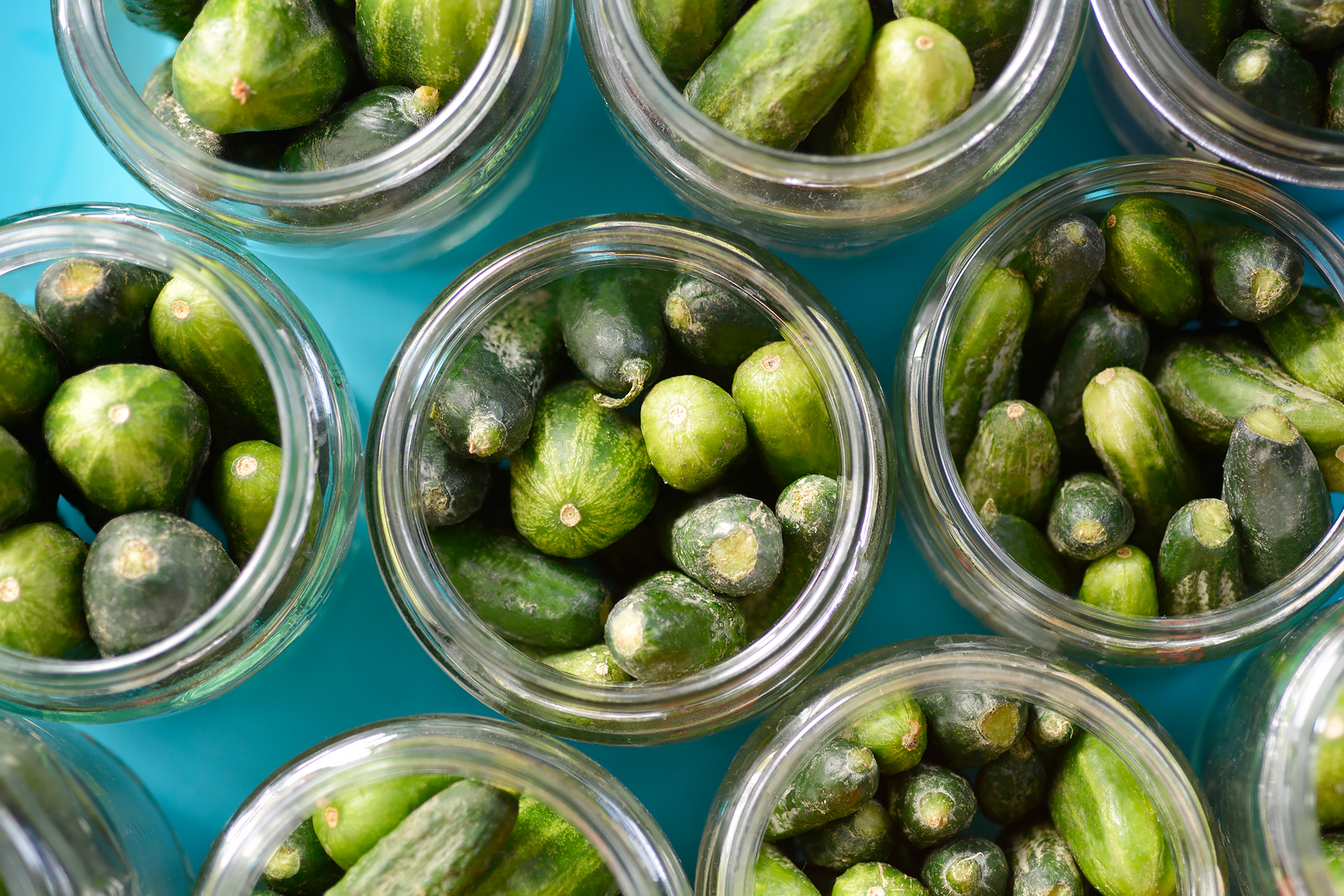 Cucumbers in jars, ready to be pickled