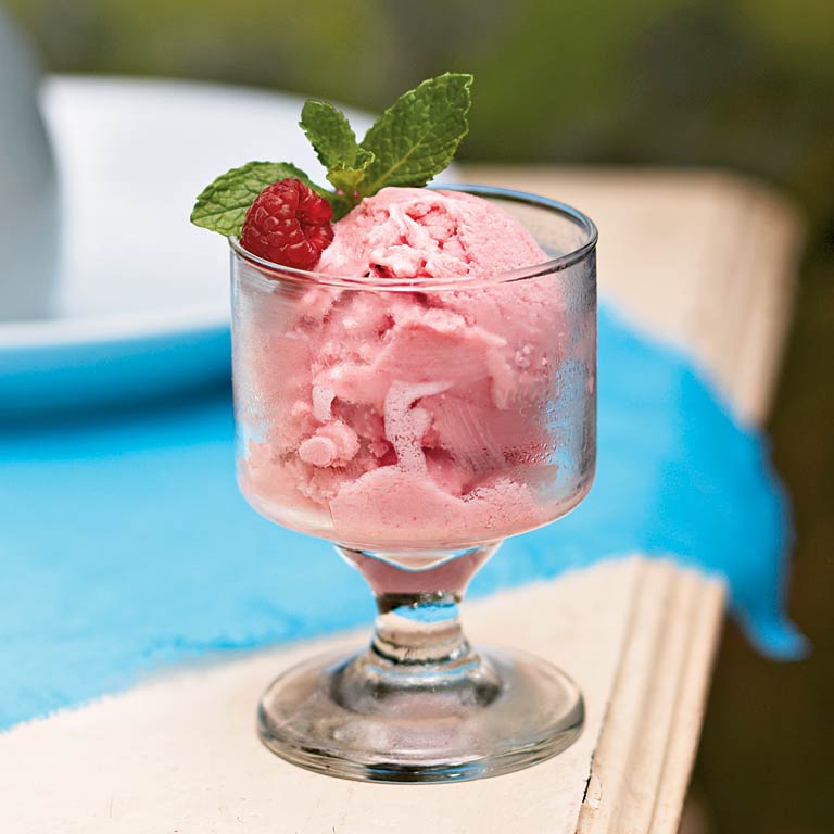 Raspberry Frozen Yogurt 
