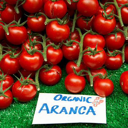 Buying Organic for Beginners