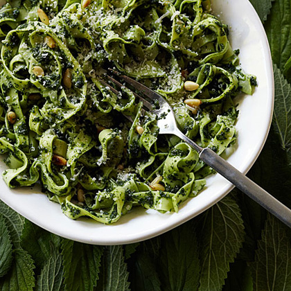 Tagliatelle with Nettle and Pine Nut Sauce 